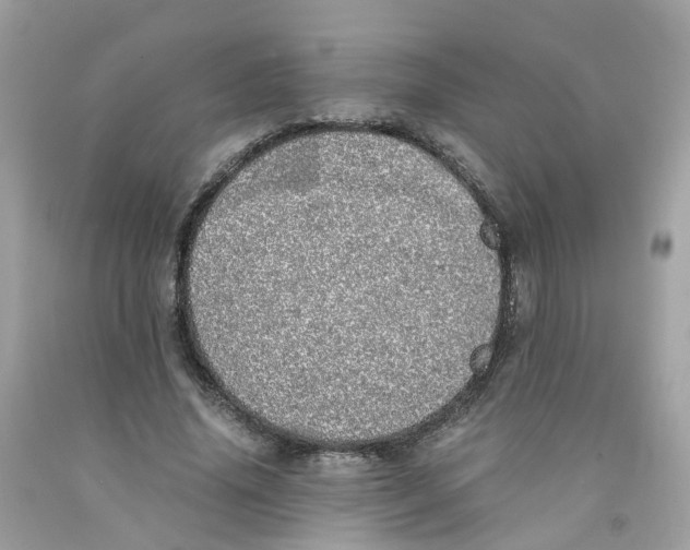 X0000091100636200709041324