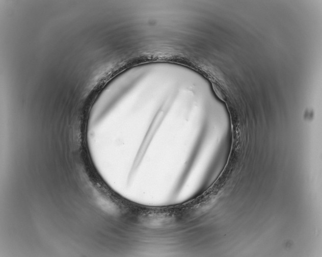 X0000091100638200709041324