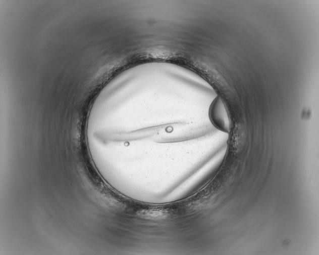 X0000091100639200709041324