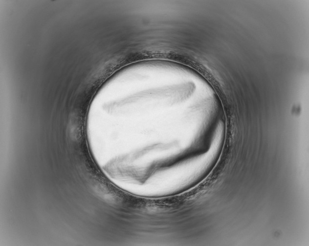 X0000091100641200709041324