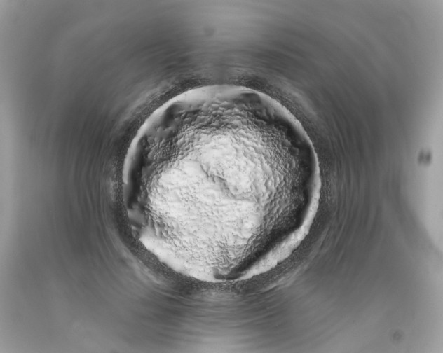 X0000091100644200709041324