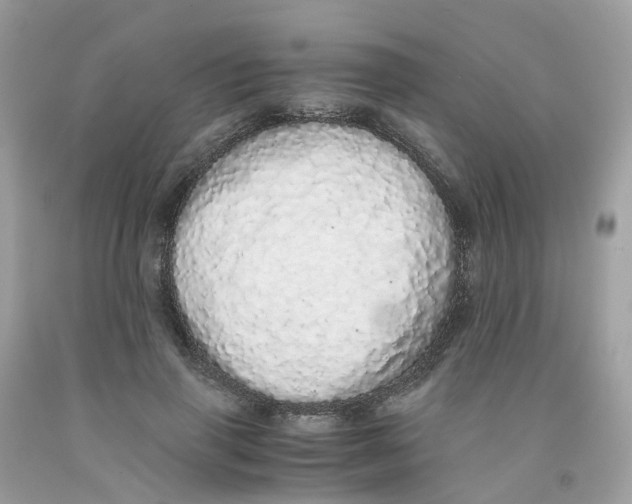 X0000091100645200709041324