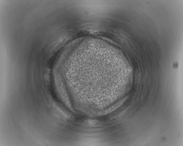 X0000091100650200709041324