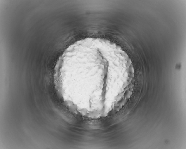 X0000091100659200709041324