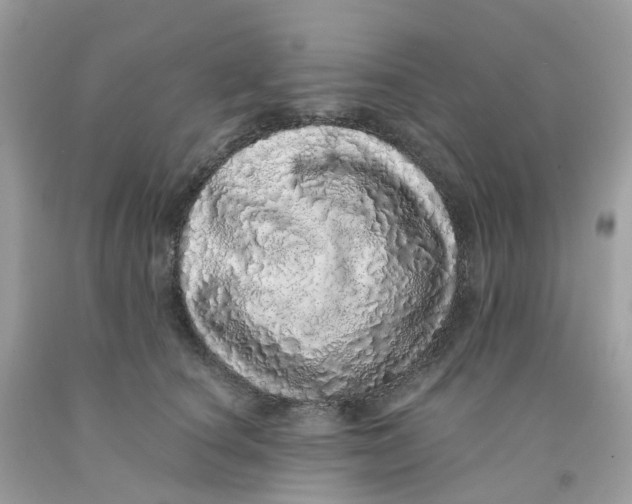 X0000091100660200709041324