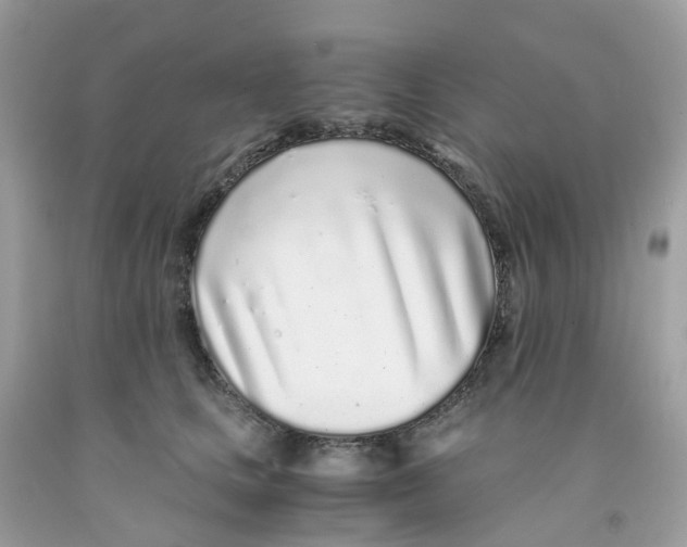 X0000091100661200709041324