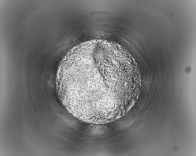 X0000091100663200709041324