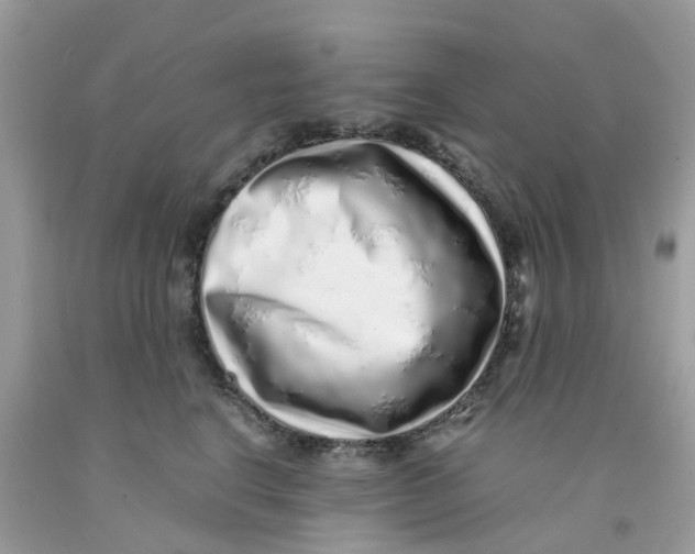 X0000091100664200709041324