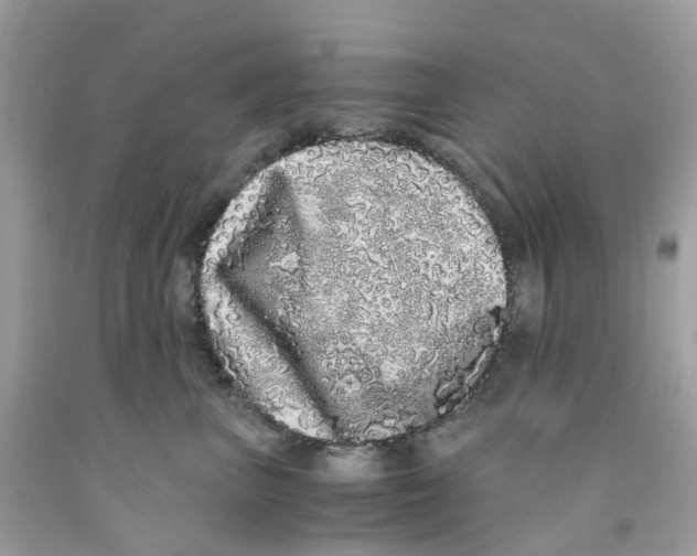 X0000091100667200709041324