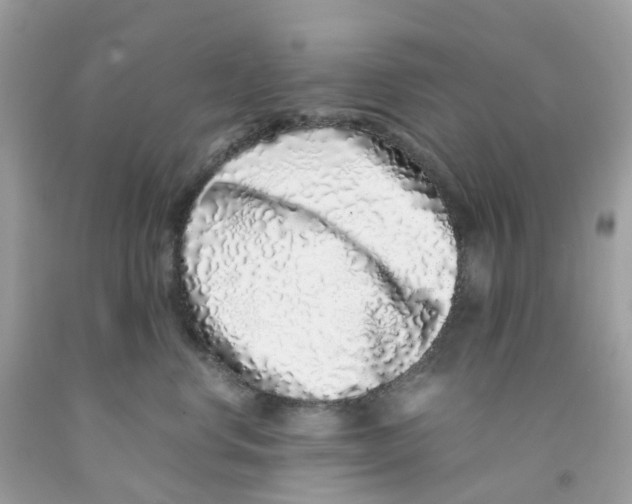 X0000091100668200709041324