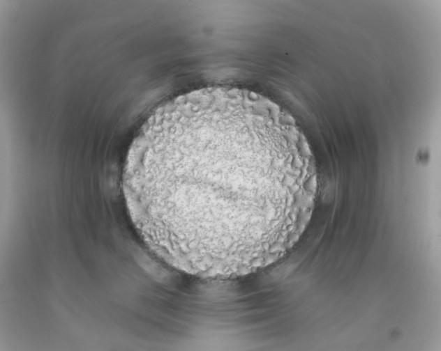 X0000091100670200709041324