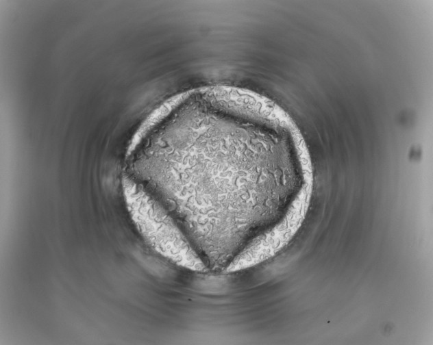 X0000091100671200709041324