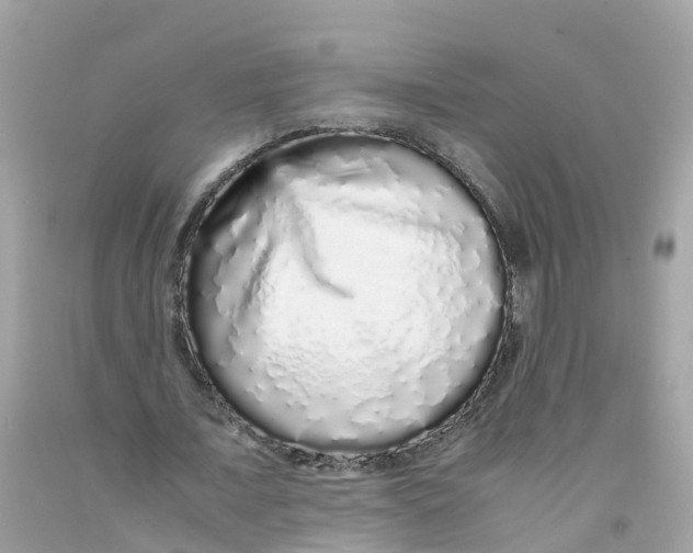 X0000091100675200709041323