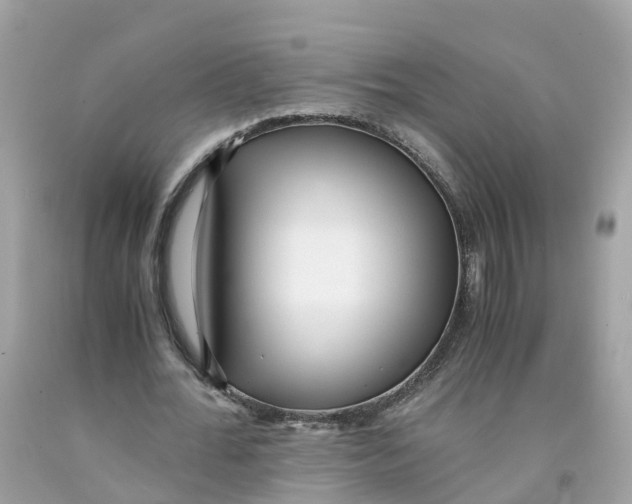 X0000091100676200709041323