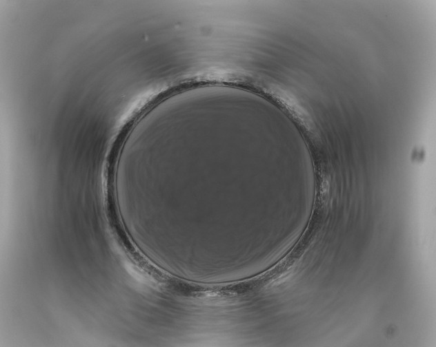 X0000091100678200709041323