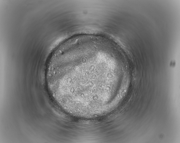 X0000091100679200709041323