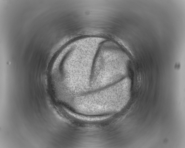 X0000091100682200709041323