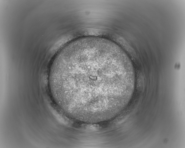 X0000091100683200709041323