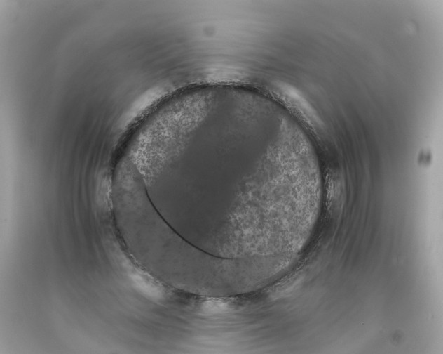 X0000091100684200709041323