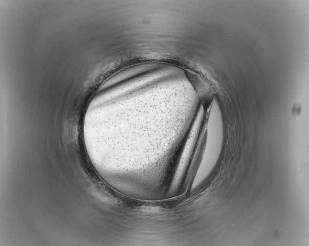 X0000091100685200709041323