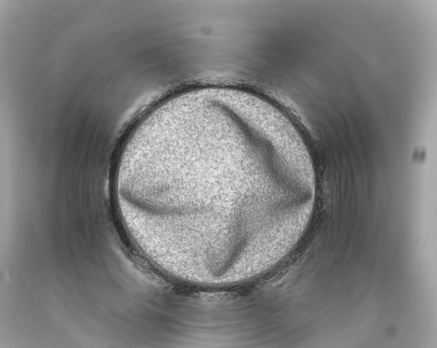 X0000091100686200709041323