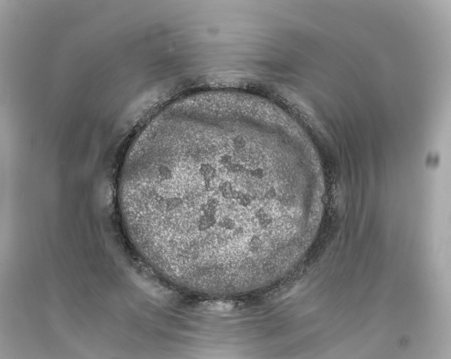 X0000091100687200709041323