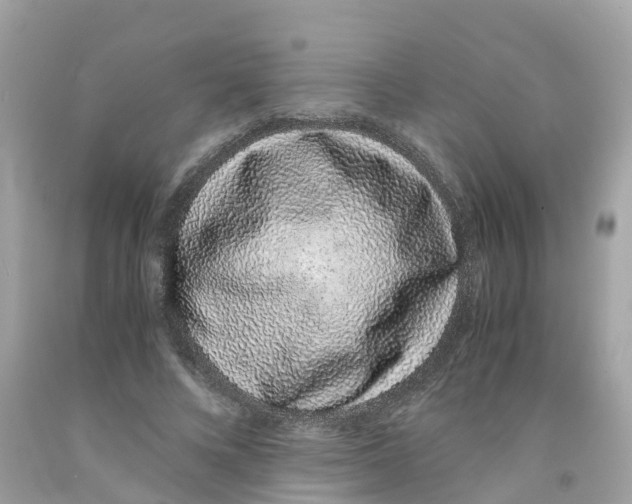 X0000091100688200709041323