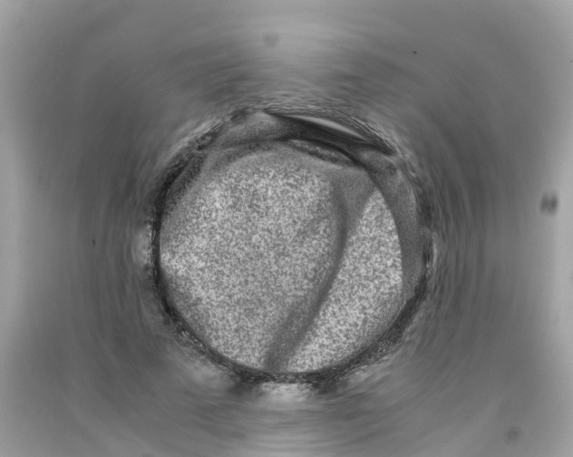 X0000091100689200709041323