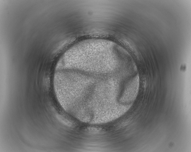 X0000091100690200709041323