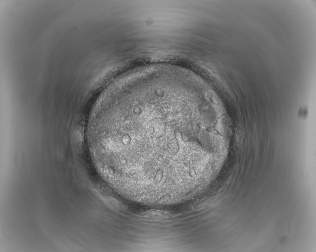 X0000091100691200709041323