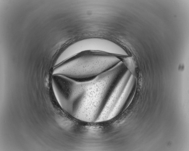 X0000091100693200709041323