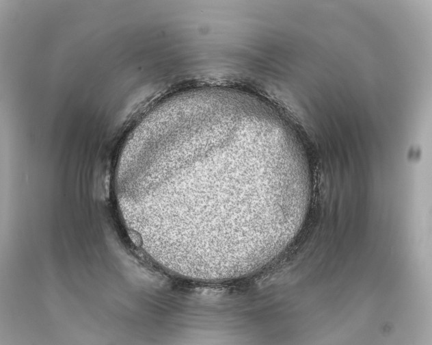 X0000091100694200709041323