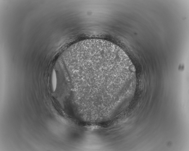 X0000091100695200709041323