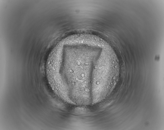 X0000091100699200709041323