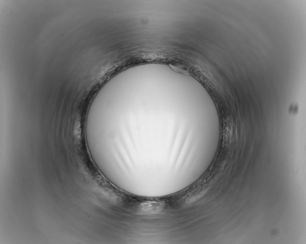 X0000091100700200709041323