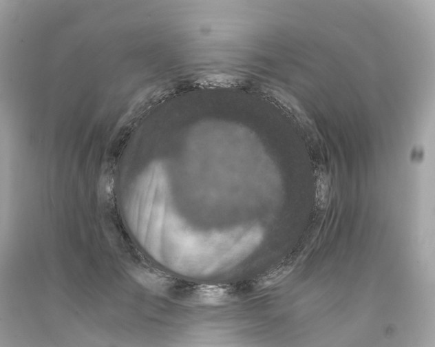 X0000091100701200709041323