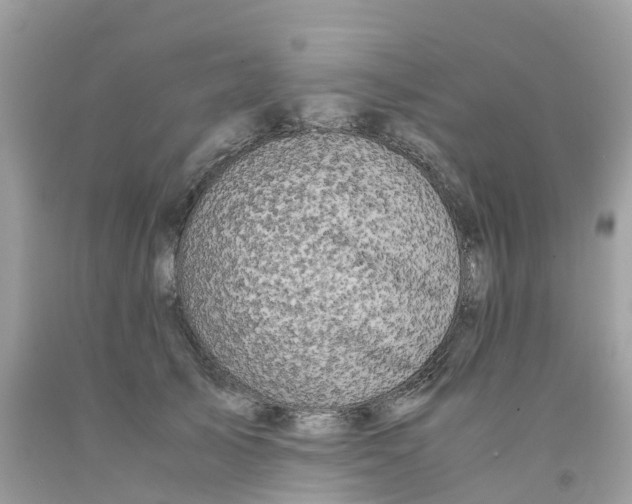 X0000091100705200709041323