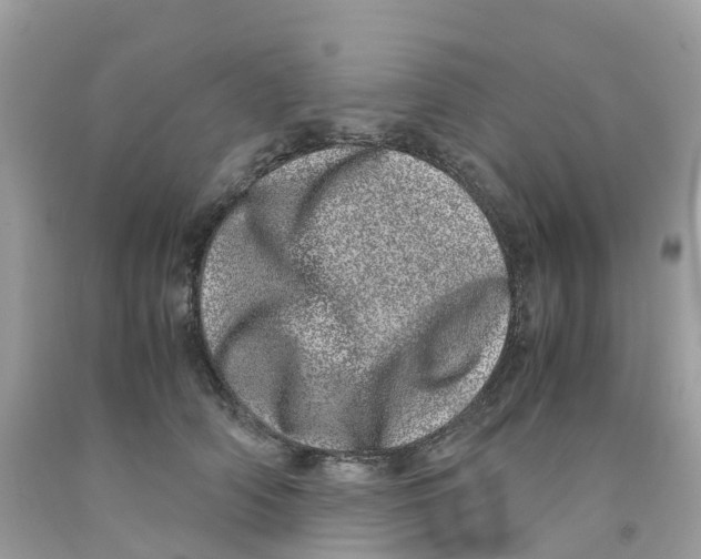 X0000091100706200709041323