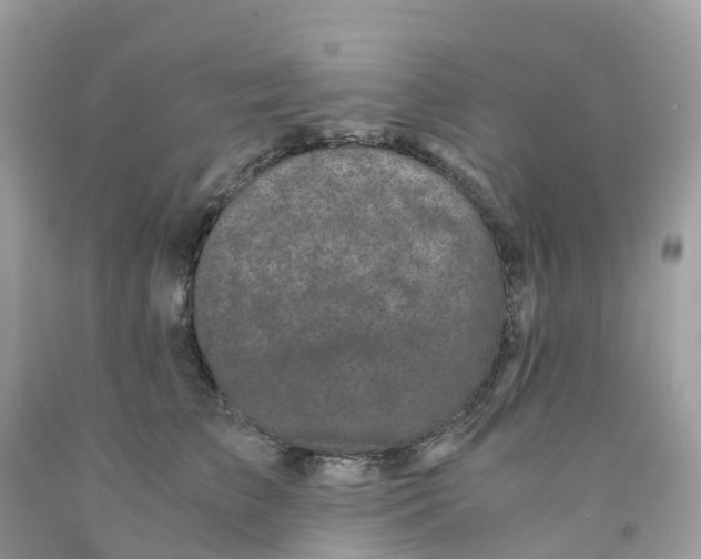 X0000091100709200709041323