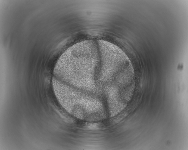 X0000091100710200709041323