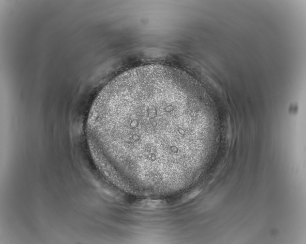 X0000091100711200709041323