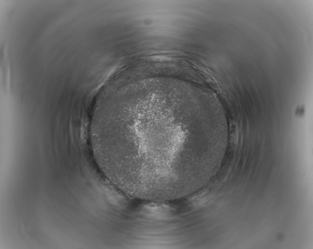 X0000091100712200709041323