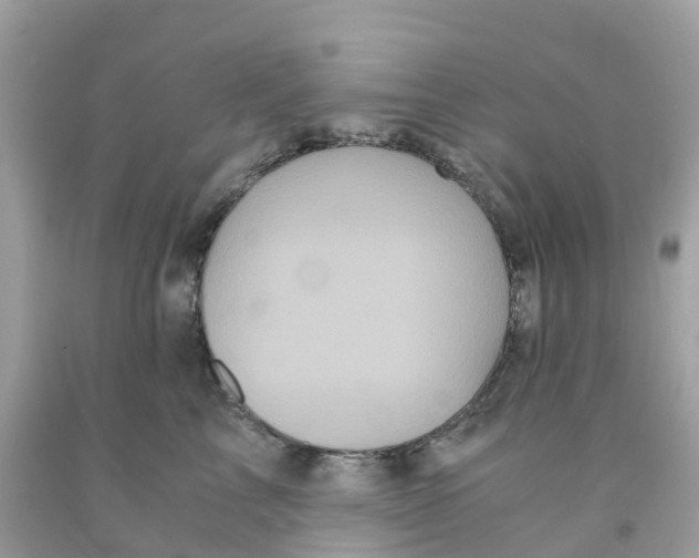 X0000091100713200709041323