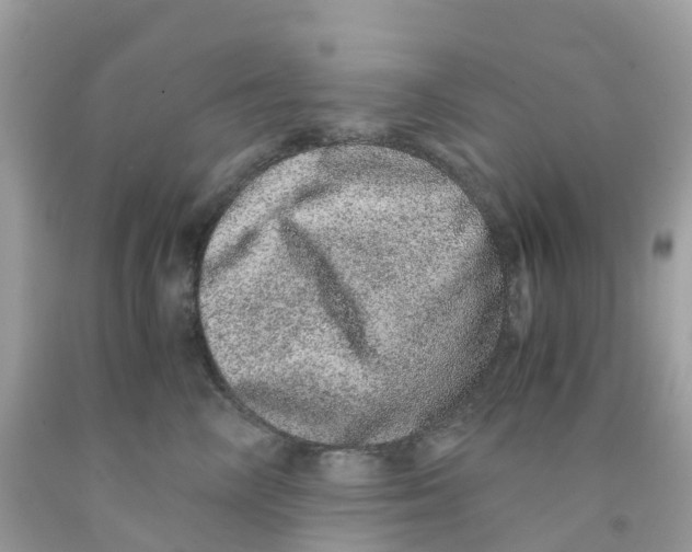 X0000091100714200709041323