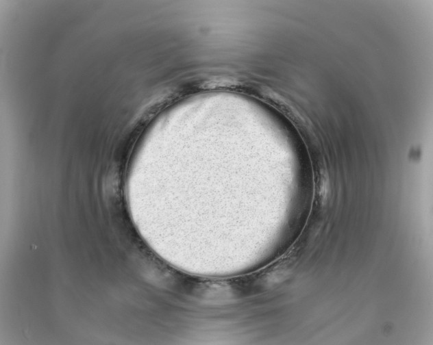 X0000091100715200709041323