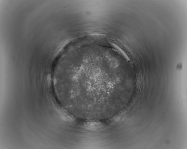 X0000091100716200709041323