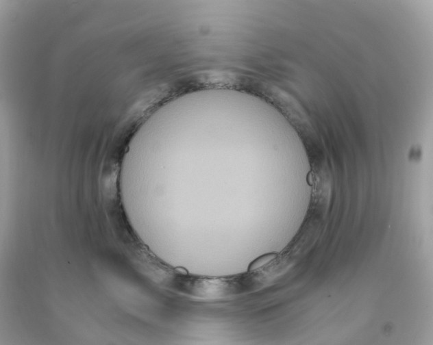 X0000091100717200709041323