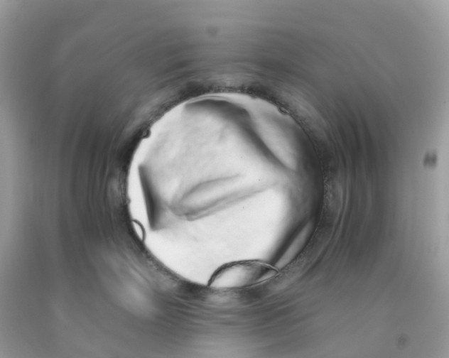 X0000091100718200709041323