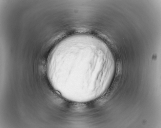 X0000091100719200709041323