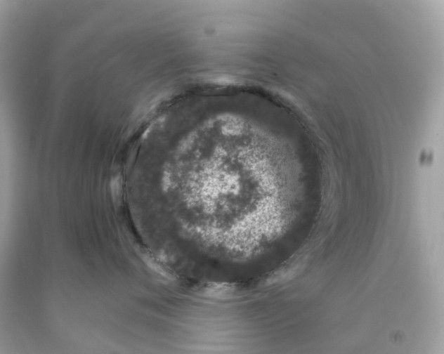 X0000091100720200709041323